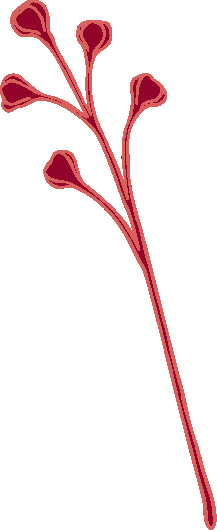 flor